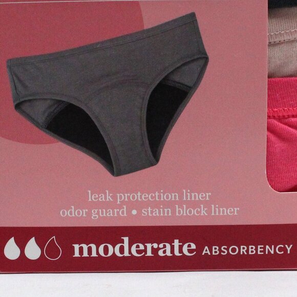 Hanes 4 Pair Girls Tagless Size 14 Hipster Moderate Absorbency Period Underwear - Picture 4 of 11